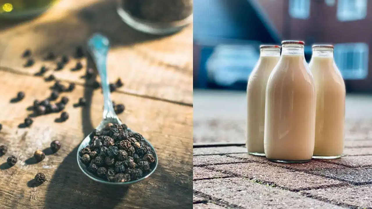 అటువంటి పరిస్థితిలో, రాత్రి పడుకునే ముందు నల్ల మిరియాలు కలిపిన పాలు తాగడం ఆరోగ్యానికి ఎలాంటి మేలు చేస్తుంది.. ఆయుర్వేద నిపుణులు ఏం చెబుతున్నారు.. ఇలాంటి వివరాలను ఇప్పుడు తెలుసుకుందాం.. రాత్రి పడుకునే ముందు పాలు తాగడం ఆరోగ్యానికి చాలా ప్రయోజనకరంగా పరిగణిస్తారు. కానీ మీరు దానికి నల్ల మిరియాలు జోడిస్తే, దాని ప్రయోజనాలు చాలా రెట్లు పెరుగుతాయి. నల్ల మిరియాలలో యాంటీఆక్సిడెంట్లు, విటమిన్లు, అనేక పోషకాలు ఉంటాయి. ఇవి మీ రోగనిరోధక శక్తిని బలోపేతం చేస్తాయి.. అనేక వ్యాధుల నుంచి మిమ్మల్ని రక్షిస్తాయి.