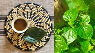 ఖాళీ కడుపుతో వేప నీరు తాగితే శరీరంలో ఇన్ని మార్పులా..?