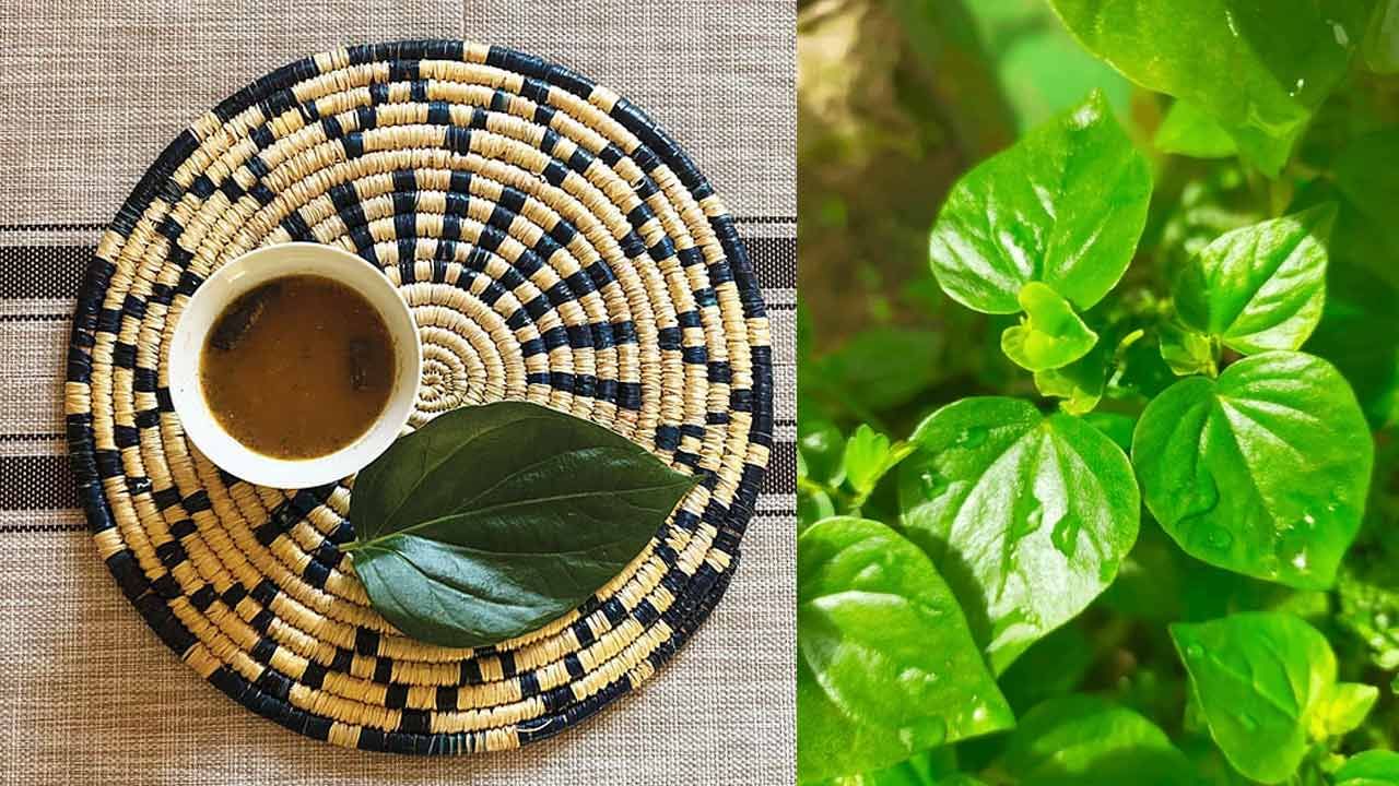 తమలపాకులు మన జీర్ణక్రియను మెరుగపరుస్తాయి. జీర్ణవ్యవస్థకు చాలా మేలు చేస్తాయి.. వాటిని నమలడం వల్ల లాలాజల ఉత్పత్తిని ప్రేరేపించడంలో సహాయపడుతుంది. ఇది ఆహారాన్ని విచ్ఛిన్నం చేసే ఎంజైమ్‌లను కలిగి ఉంటుంది. కడుపు ఉబ్బరం, అజీర్ణాన్ని తగ్గించడంలో కూడా సహాయపడుతుంది.