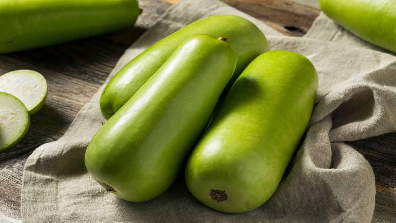 bottle gourd 