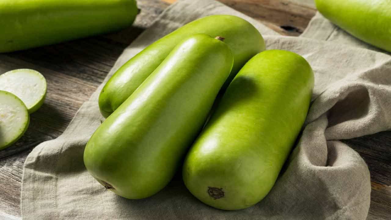 bottle gourd