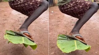 Viral Video: రాత్రి వేళ దూడకు జన్మనిచ్చిన గేదె.. ఉదయాన్నే అక్కడి సీన్‌ చూసి షాకైన యజమాని..! ఏం జరిగిందంటే..