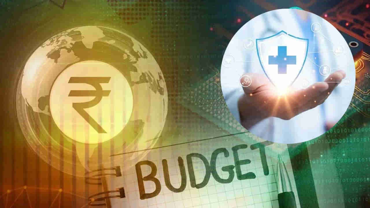 Budget 2025: ప్రజలకు మోదీ సర్కార్ గుడ్ న్యూస్.. చీప్‌గా దొరికే వస్తువులు ఇవే..