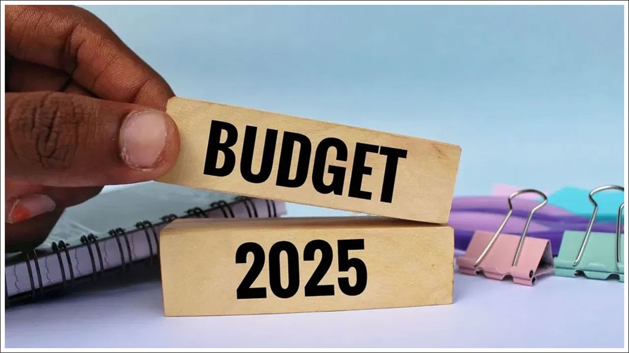 Budget 2025: కేంద్రం నిర్ణయంతో మధ్యతరగతి ప్రజలకు చేతి నిండా డబ్బులే.. ఆర్థిక రంగ నిపుణులు ఏమంటున్నారంటే..