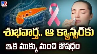 రోడ్డుపై అర్థరాత్రి వేళ రష్యన్ అమ్మాయి వీరంగం.. వీడియో వైరల్