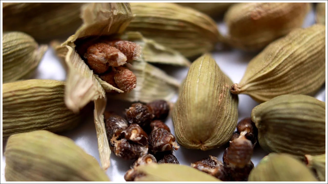 ఏలకులు గింజలు లేదా పాడ్లను నమలడం వల్ల మీ శ్వాస మరింత మెరుగవుతుంది. అలాగే నోటి దుర్వాసన లేదా హాలిటోసిస్ను వదిలించుకోవడానికి సహాయపడుతుంది. అందుకే ఏలకులను తరచుగా మౌత్ ఫ్రెషనర్లు, చూయింగ్ గమ్లలో ఉపయోగిస్తారు.