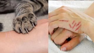 నల్ల నువ్వులలో దాగున్న అద్భుత ఆరోగ్య రహస్యాలు..! తెలిస్తే షాక్ అవుతారు..!