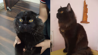 Telangana: ఈ పాఠశాలల్లో సీటొస్తే టెన్త్ వరకు ఫ్రీ ఎడ్యుకేషన్.. అంతేకాదు