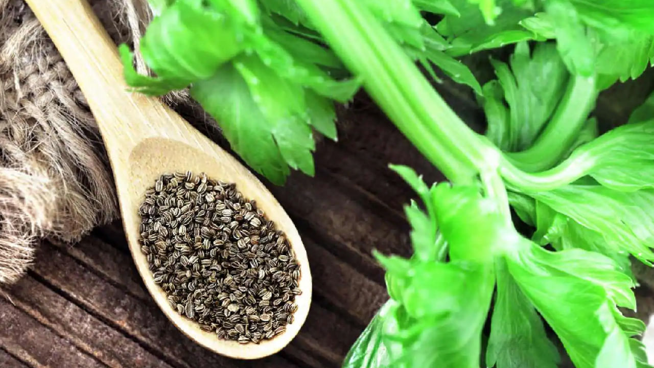 సెలెరీ- ఈ గింజలు జీర్ణశక్తిని మెరుగుపరుస్తాయి. సెలెరీ వాటర్ తాగడం వల్ల పొట్ట కొవ్వు తగ్గుతుంది. సెలెరీ గింజల్లో యాంటీ బ్యాక్టీరియల్, యాంటీ ఫంగల్ లక్షణాలు పుష్కలంగా ఉన్నాయి. వాటి నీళ్లు తాగడం వల్ల జలుబు, దగ్గు నుంచి కూడా ఉపశమనం లభిస్తుంది.