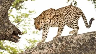 GBS Outbreak in AP: ఆ బాలుడు బీజీఎస్ వ్యాధితోనే చనిపోయాడా..? ఆ జిల్లాలో టెన్షన్ టెన్షన్.. పాపం పుట్టెడు దుఃఖంలోనూ..