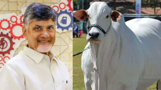 AP News: కృష్ణలంక పీఎస్‌లో కొనసాగుతున్న క్వశ్చన్ అవర్.. వంశీపై ప్రశ్నల వర్షం