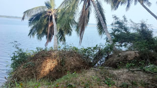 AP News: కలవరపెడుతోన్న బర్డ్ ఫ్లూ.. ఏపీలోని ఆ ప్రాంతాల్లో చికెన్, కోడిగుడ్డు బంద్.!