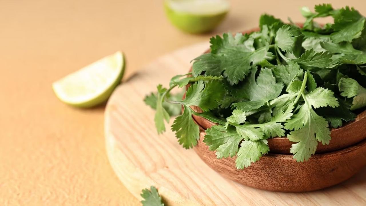 Coriander For Stomach