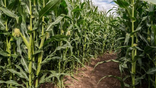 మారిపోనున్న హైదరాబాద్ రూపురేఖలు.. కార్యరూపం దాల్చుతున్న ఫ్యూచర్ సిటీ మెట్రో..!