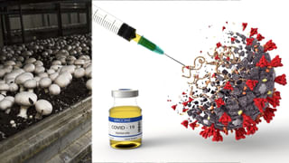 New Delhi Railway Station Stampede: న్యూఢిల్లీ రైల్వే స్టేషన్‌లో తొక్కిసలాట వెనుక అసలు కారణం ఇదేనట..! రైల్వే కూలీ చెప్పిన అసలు నిజం..?