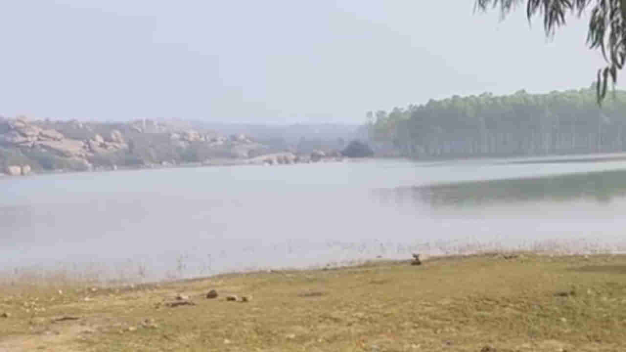 పుట్టినరోజు గ్రాండ్‌గా సెలబ్రేట్ చేసుకునేందుకు వైజాగ్ నుంచి హైదరాబాద్‌కు.. కానీ విధి మరోలా..