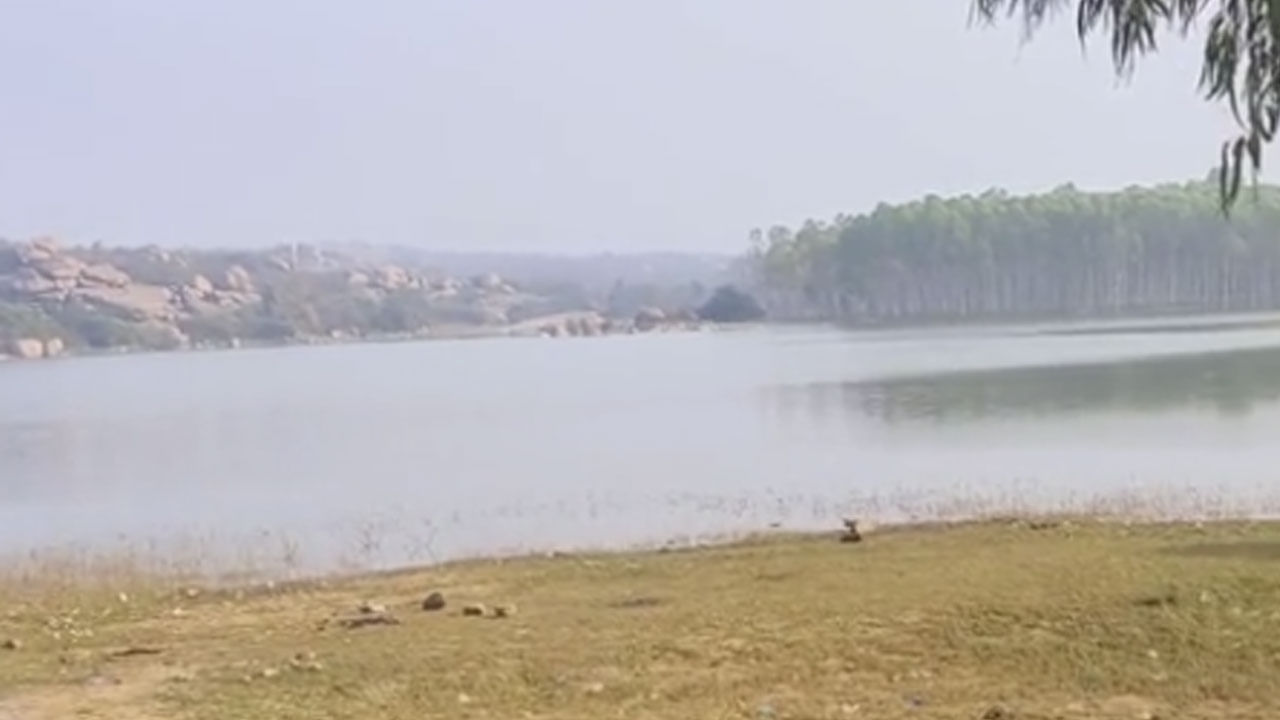 పుట్టినరోజు గ్రాండ్‌గా సెలబ్రేట్ చేసుకునేందుకు వైజాగ్ నుంచి హైదరాబాద్‌కు.. కానీ విధి మరోలా..