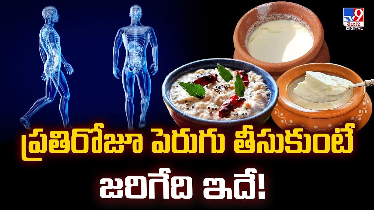 ప్రతిరోజూ పెరుగు తీసుకుంటే జరిగేది ఇదే