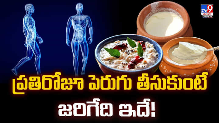 ప్రతిరోజూ పెరుగు తీసుకుంటే జరిగేది ఇదే ప్రతిరోజూ పెరుగు తీసుకుంటే జరిగేది ఇదే