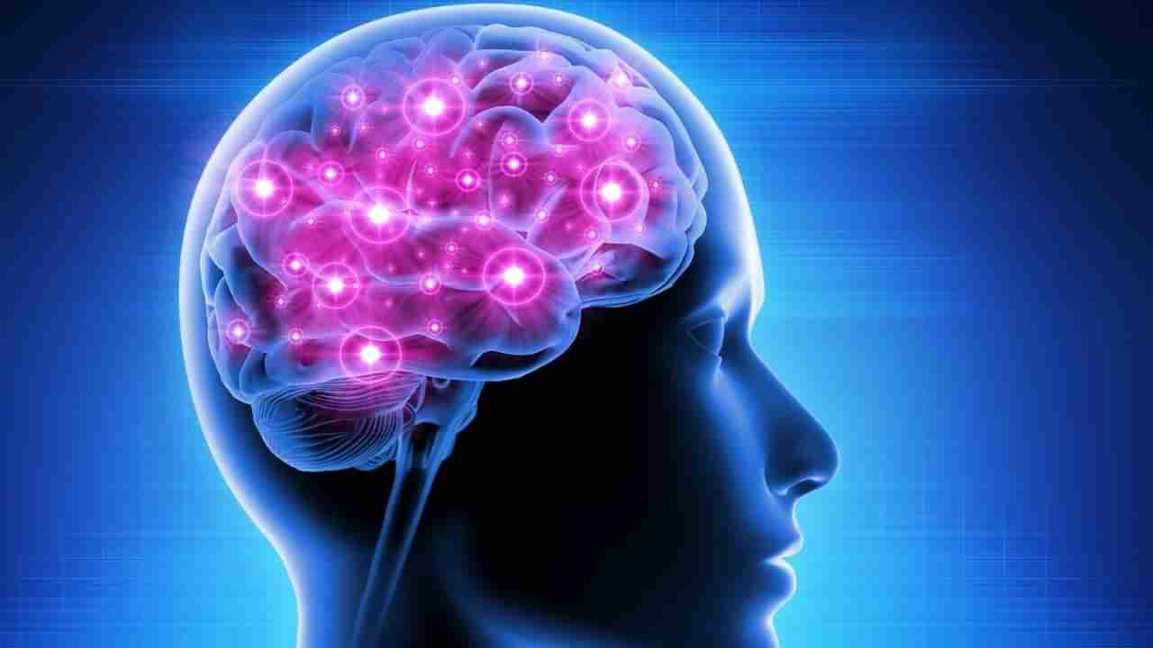 మెదడును శక్తివంతంగా ఉంచే 3 అద్భుతమైన పోషకాలు..! మెమరీ బూస్ట్ చేసే బెస్ట్ ఫుడ్స్ ఇవే..!