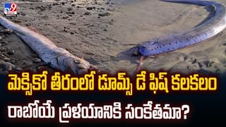 ఇంత వెధవల్లా ఉన్నారేంట్రా! కుంభమేళాలో మహిళల స్నానం