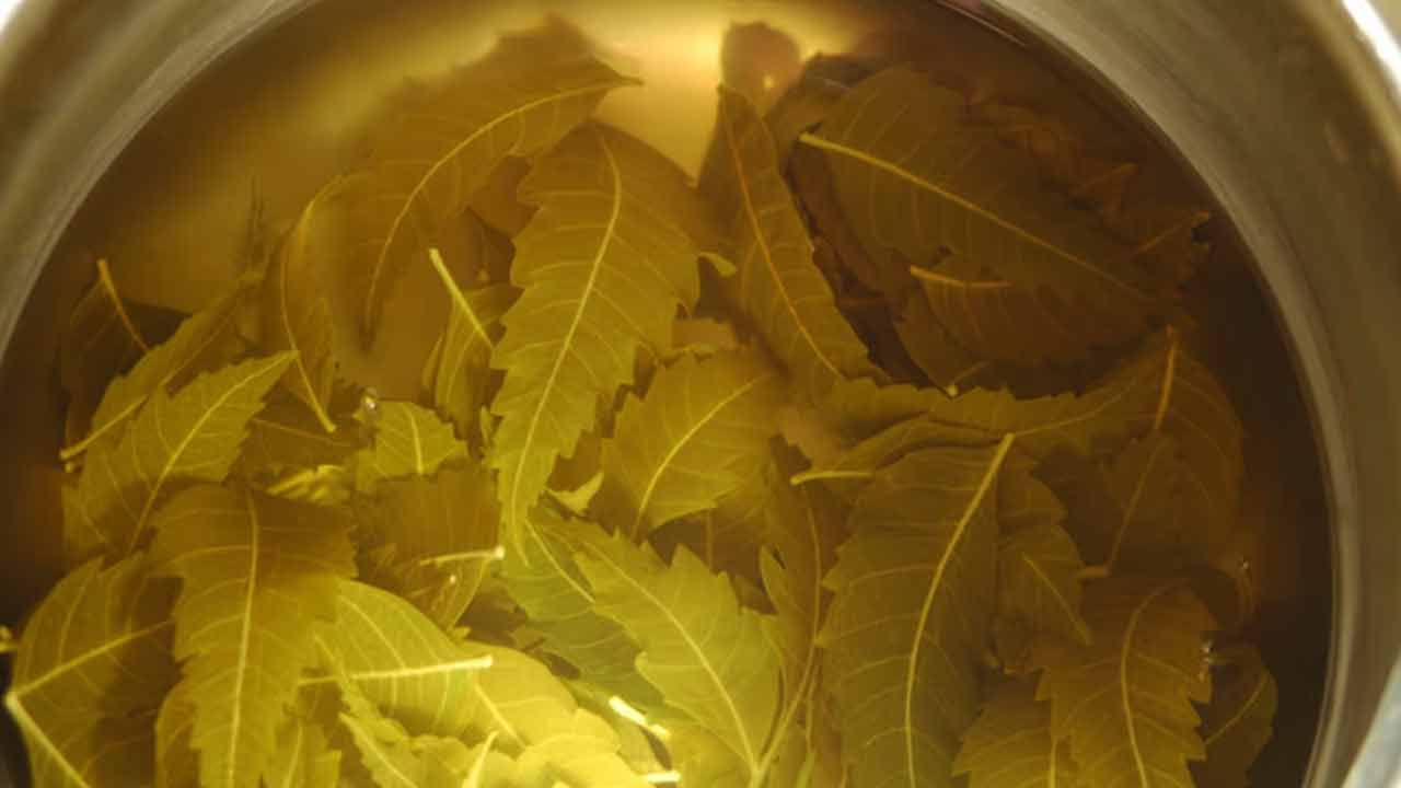 ఖాళీ కడుపుతో వేప నీరు తాగితే శరీరంలో ఇన్ని మార్పులా..?