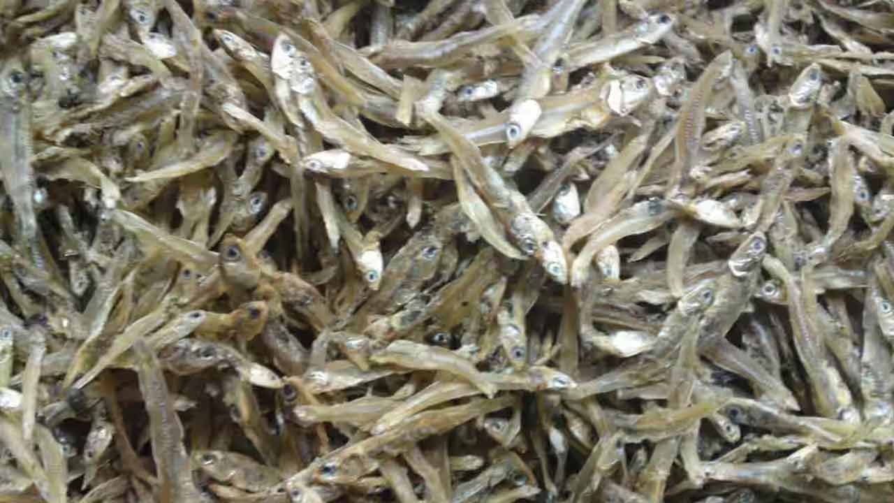 రోగనిరోధక శక్తి తక్కువగా ఉండి తరచూ దగ్గు, జలుబు వంటి సమస్యలతో బాధపడేవారు ఎండుచేపలు తినడం మంచిది కాదు. ఇవి ఈ సమస్యను మరింత పెంచుతాయి. ఎండుచేపలు తింటే కొందరికి ఎలర్జీ కలుగుతుంది. అందుకే తరచూ దద్దుర్లు, దురద, ర్యాషెస్ వంటి సమస్య ఉన్నవారు ఈ ఎండుచేపలు తినకపోవడమే మంచిది. 