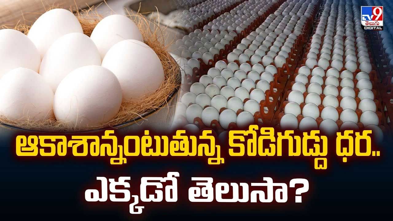 ఆకాశాన్నంటుతున్న కోడిగుడ్దు ధర.. ఎక్కడో తెలుసా?