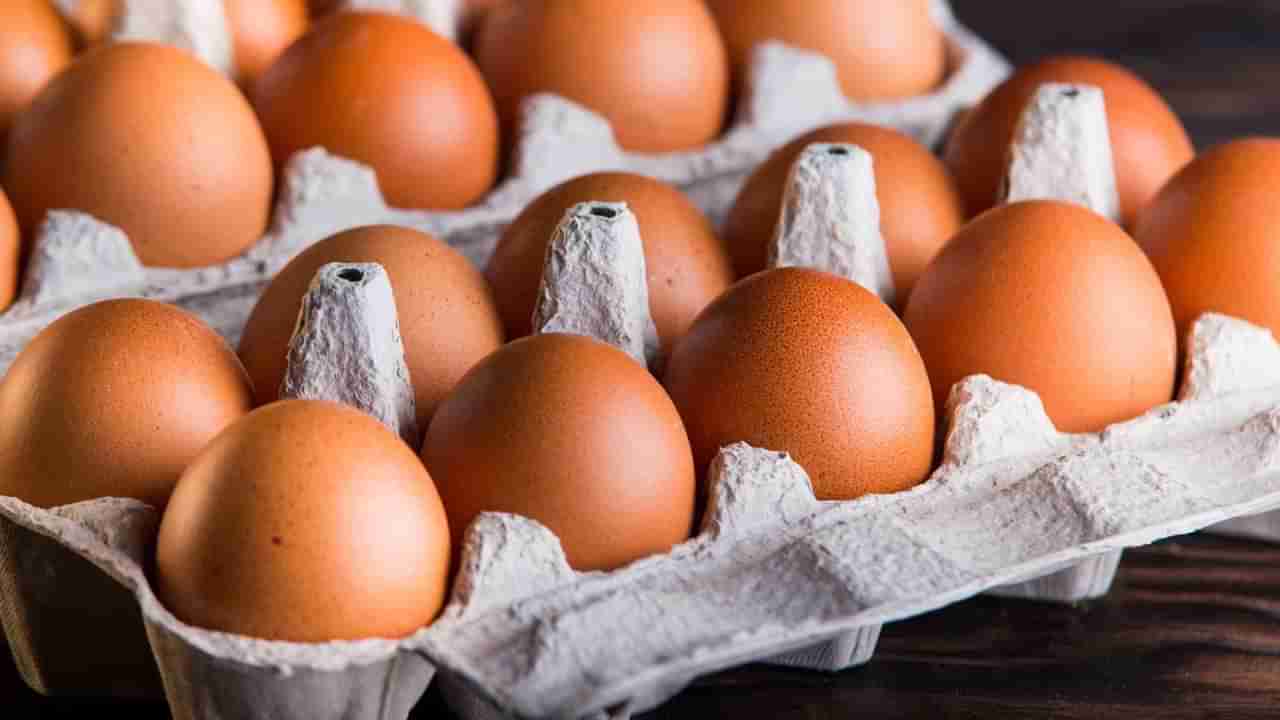 US Eggs: ట్రంప్నకు గట్టి దెబ్బ.. కోడిగుడ్లు దొరక్క అమెరికన్ల అవస్థలు..!