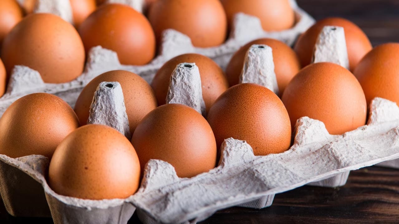 US Eggs: ట్రంప్నకు గట్టి దెబ్బ.. కోడిగుడ్లు దొరక్క అమెరికన్ల అవస్థలు..!