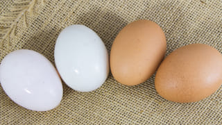 జస్ట్ నొప్పేగా.. మనకేం అవుతుందిలే అనుకునేరు.. డేంజర్‌లో పడతారు బీకేర్‌ఫుల్