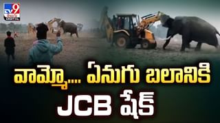 నెయిల్ పాలిష్ వేసుకుంటూ స్పృహ తప్పిన చిన్నారి.. CT స్కాన్ చేయగా..