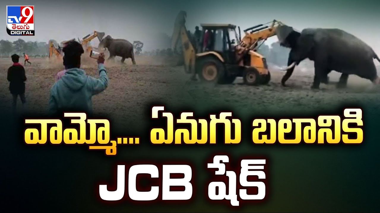 వామ్మో.. ఏనుగు బలానికి JCB షేక్
