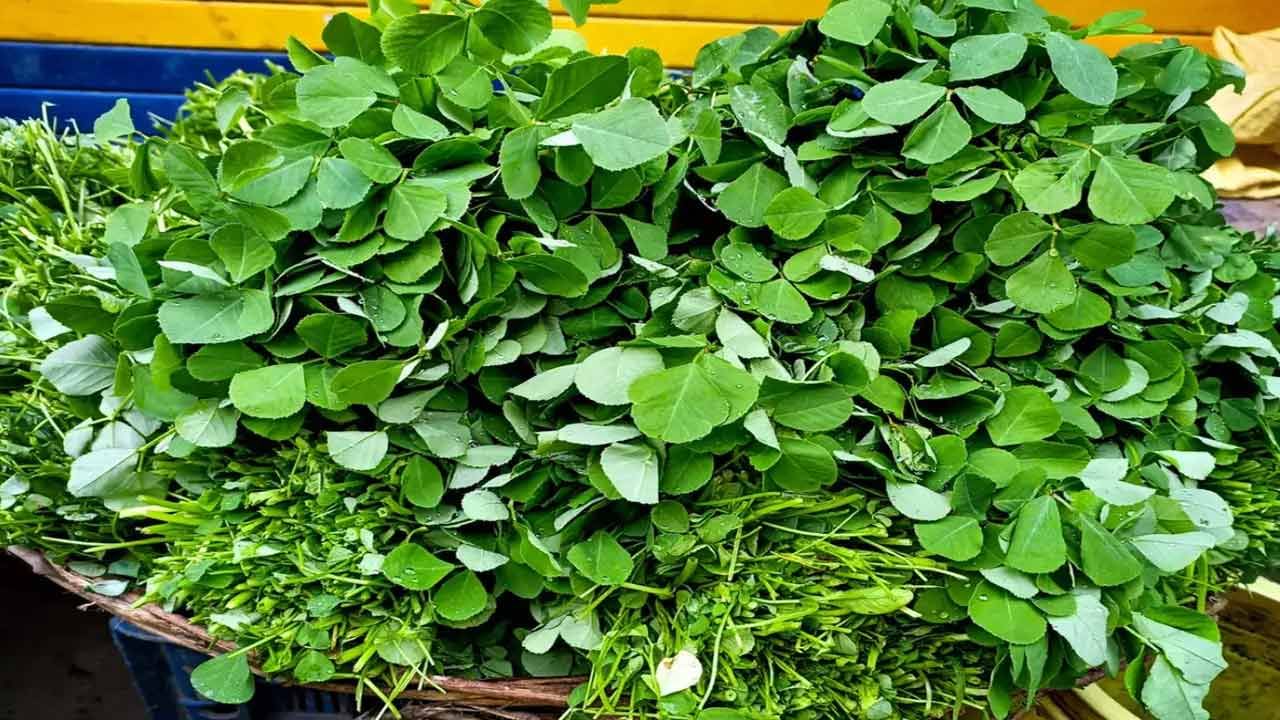 Fenugreek