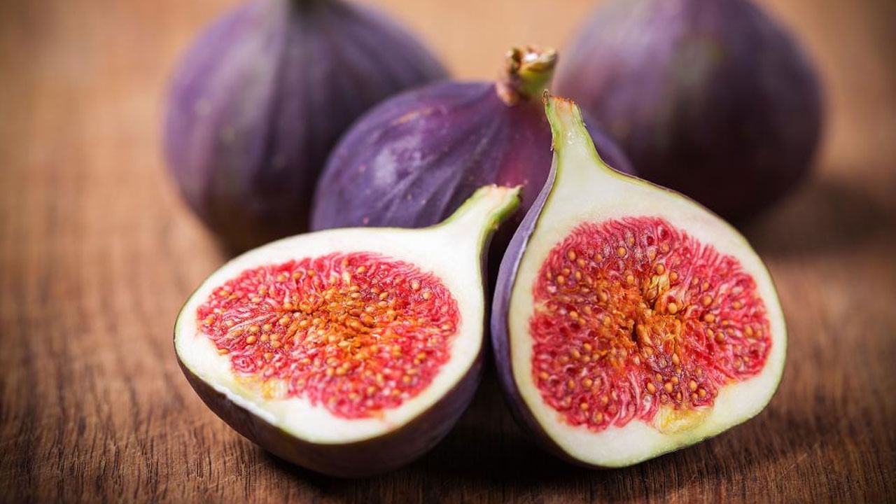 Fig Health