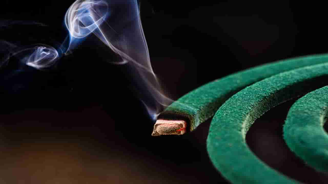 Fire Accident at Orphanage: కొంపముంచిన మస్కిటో కాయిల్‌.. అనాథ పిల్లలు నిద్రిస్తుండగా షాకింగ్ ఘటన!