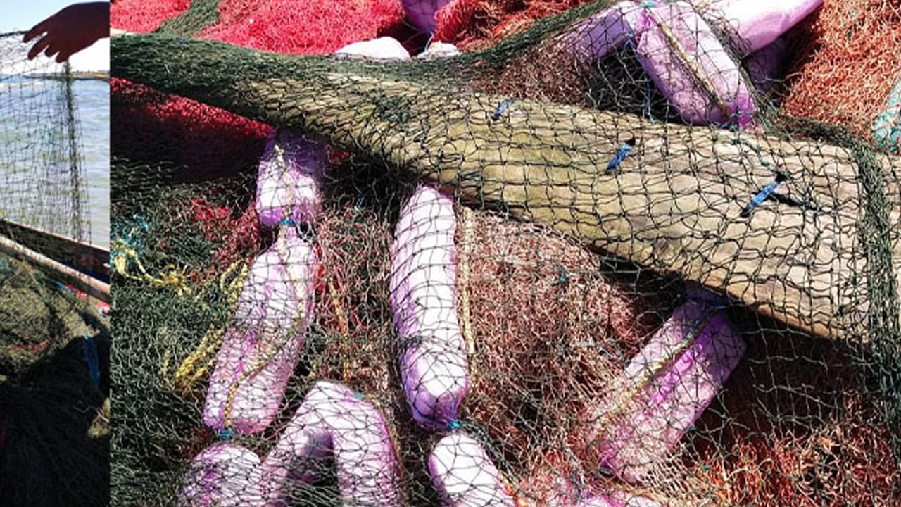 Vizag: వల వేసిన జాలర్లు.. చేపలతో పాటు ఎంట్రీ ఇచ్చిన ఊహించని అతిథులు