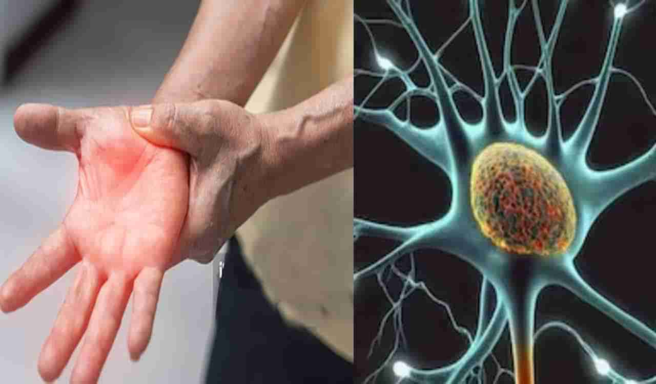 GBS Deaths: అంతుచిక్కని మహమ్మారితో మరో ఇద్దరు మృతి.. ఏపీలో వేగంగా వ్యాపిస్తున్న వ్యాధి