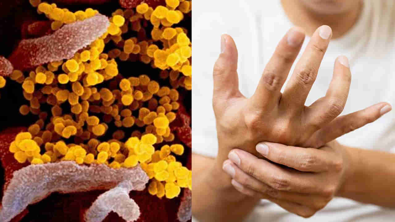 మహారాష్ట్రను వణికిస్తున్న GBS.. తాజాగా మరో 3 కేసులు నమోదు..