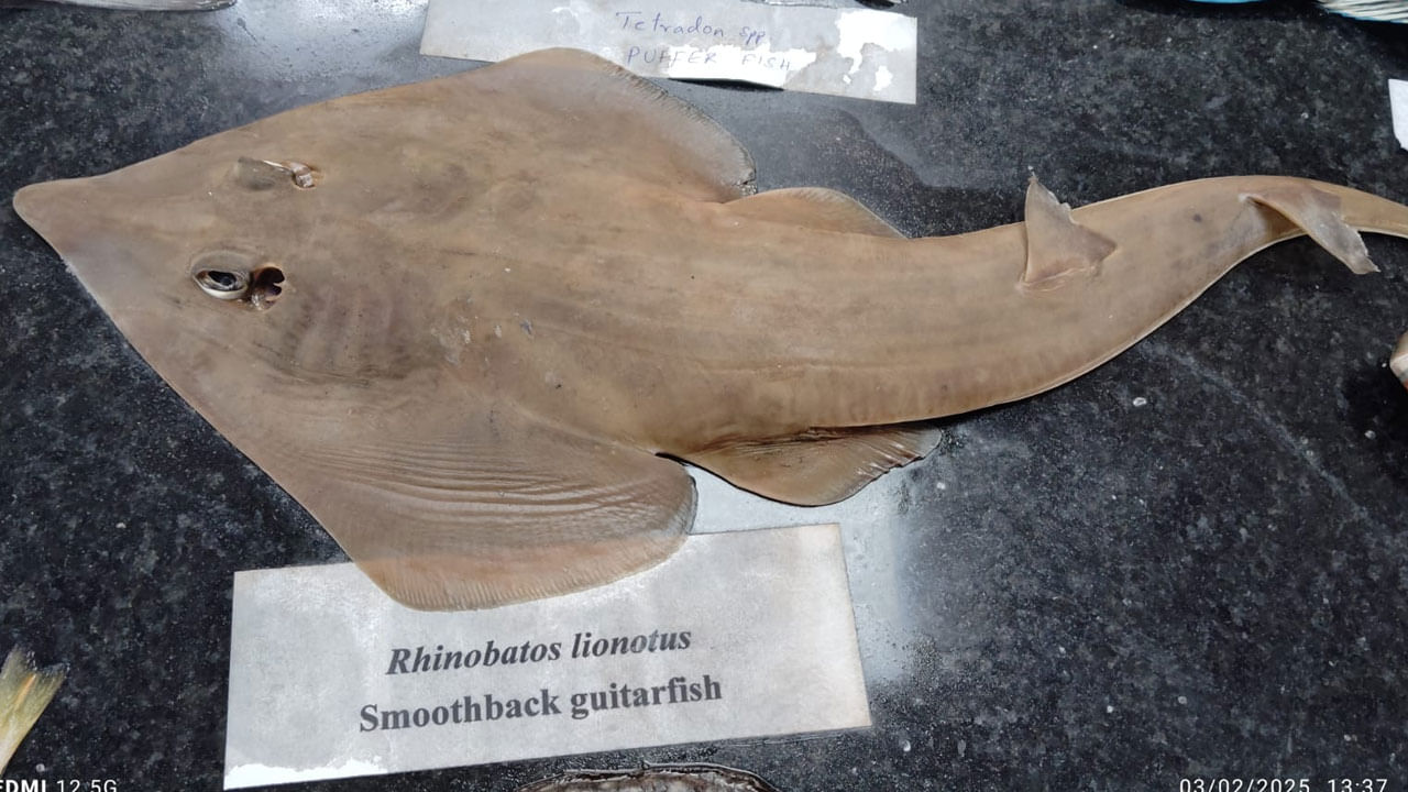 వీటితోపాటు.. సముద్ర జీవులపై అధ్యయనం, ఉత్పత్తి పెంచడం, సముద్రపు మొక్కలు.. వాటి ఉపయోగాలు.. చేపలకు  కృత్రిమ ఆవాసాలు.. చేపలు పట్టుకునే విధానం, సముద్రంలో చేపలను పెంపకం, శాస్త్రీయ సాంకేతిక విధానాలు, పరిశోధనలు, మెరైన్ ఫిషరీస్ లో అవలంబించాల్సిన విధానాలపై శాస్త్రవేత్తలు అవగాహన కల్పించామన్నారు సీఎం ఎఫ్ ఆర్ ఐ చీఫ్ సైంటిస్ట్ డాక్టర్ జో కిజాకుడన్, ప్రిన్సిపాల్ సైంటిస్ట్ రాజు. 