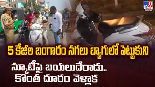 సింహాలకు చుక్కలు చూపించిన జిరాఫీ.. నెట్టింట వైరల్‌ అవుతున్న వీడియో
