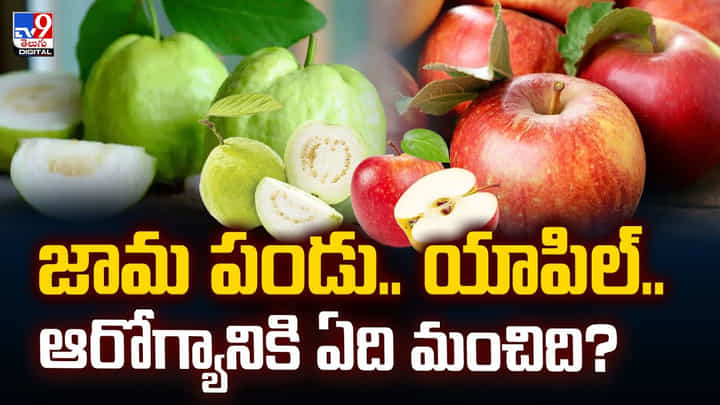జామ పండు.. యాపిల్.. ఆరోగ్యానికి ఏది మంచిది? జామ పండు.. యాపిల్.. ఆరోగ్యానికి ఏది మంచిది?