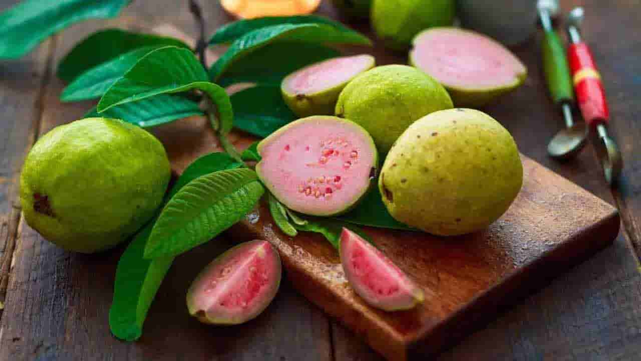Guava Leaves Benefits: జామ పండ్లే కాదు.. ఆకులూ మేలే..! ఆ సమస్యలకు ఇవి దివ్యపత్రాలు