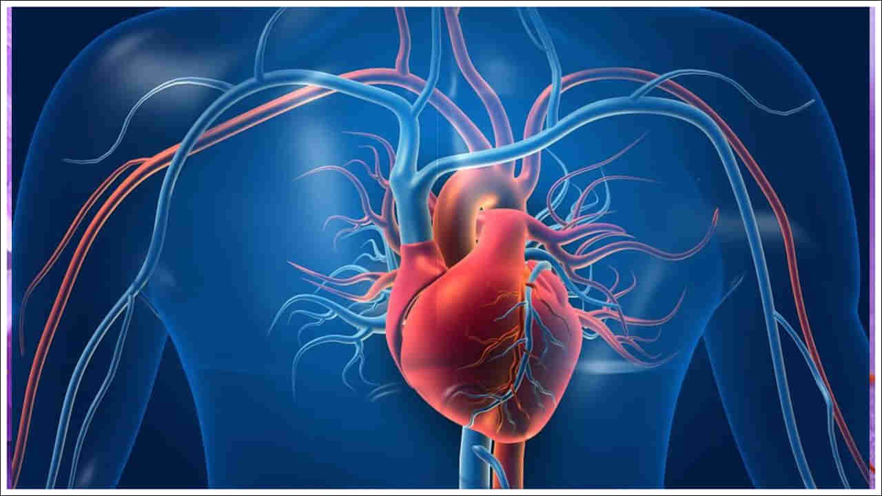 Health Tips: గుండె నరాలు మూసుకుపోతే శరీరంలో కనిపించే లక్షణాలు ఇవే!