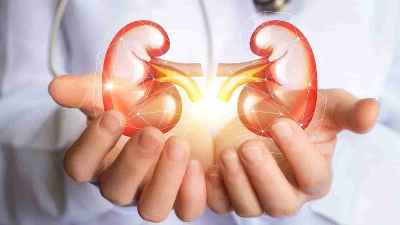 Kidney Health: కిడ్నీ వ్యాధిని ముందే గుర్తించండి..! 8 సైలెంట్ లక్షణాల గురించి ఇప్పుడే తెలుసుకోండి..!