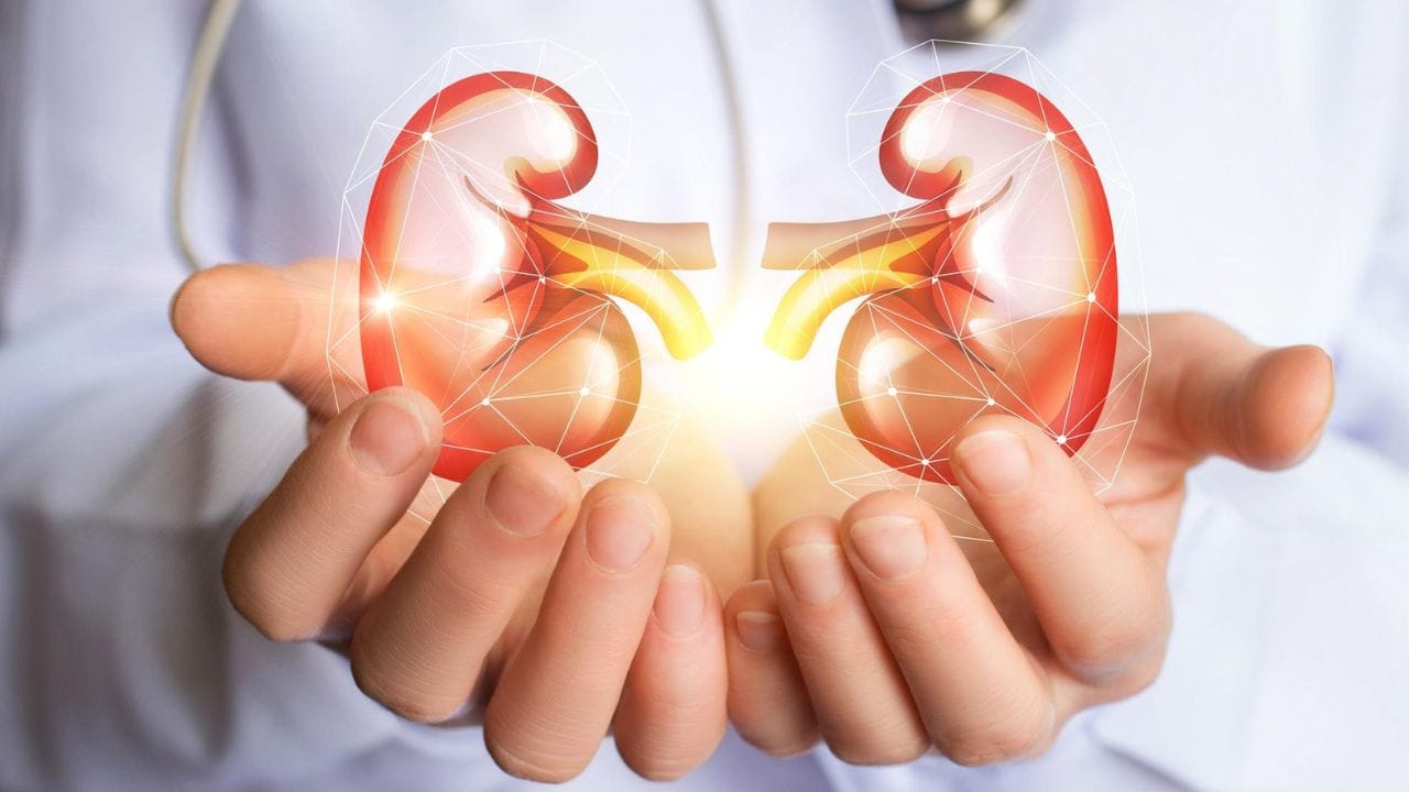 Kidney Health: కిడ్నీ వ్యాధిని ముందే గుర్తించండి..! 8 సైలెంట్ లక్షణాల గురించి ఇప్పుడే తెలుసుకోండి..!