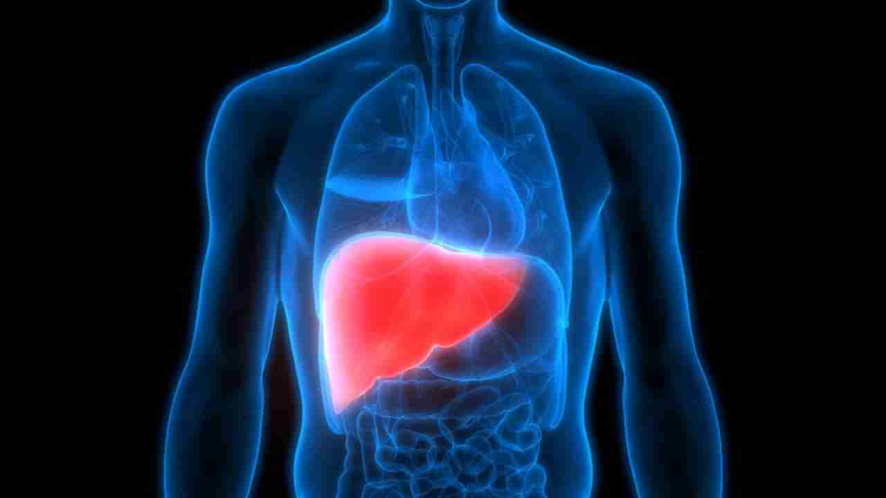 లివర్ ఆరోగ్యాన్ని కాపాడే సూపర్ ఫుడ్స్..! ఇవి వెంటనే మీ డైట్ లో చేర్చండి..!