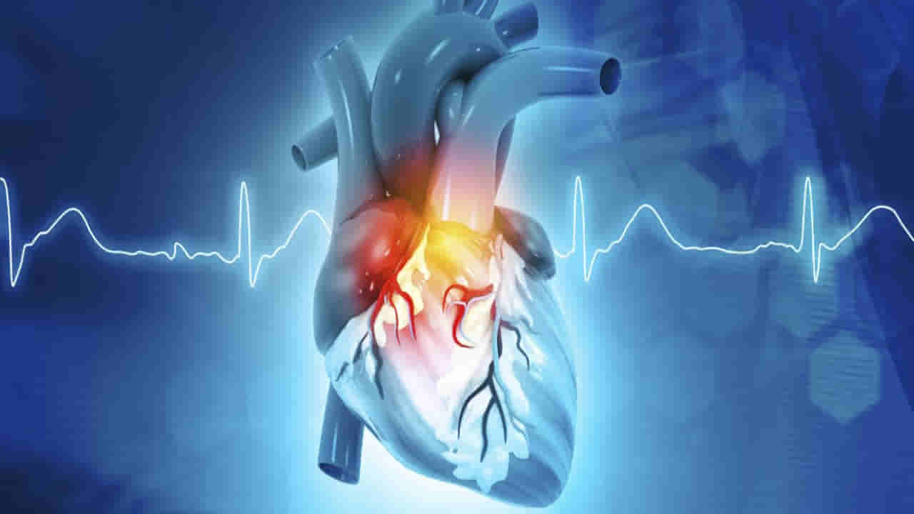 Health Tips: గుండె జబ్బుల రిస్క్ను తగ్గించే సూపర్ ఫుడ్.. ఈ ఒక్కటి తీసుకుంటే ఆ టెన్షన్ లేనట్టే