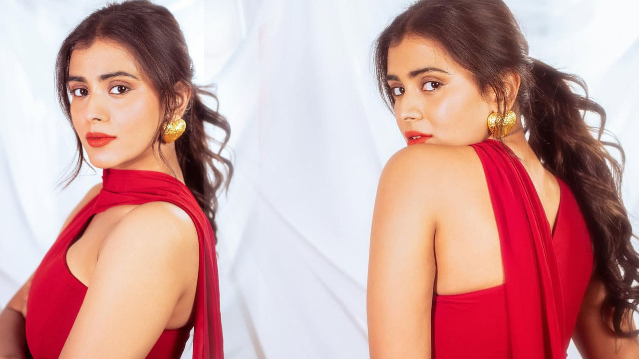 అయితే అందం, అభినయం ఉన్నా ఈ బ్యూటీకి మాత్రం ఆశించిన స్థాయిలో గుర్తింపు రాలేదనే చెప్పాలి. చాలా సినిమాల్లో నటించి మెప్పించినప్పటికీ, స్టార్ హీరోల సినిమాల్లో మాత్రం ఛాన్స్ దక్కించుకోలేకపోయింది. 