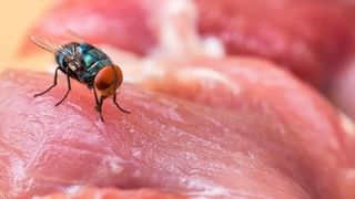 Warren Buffett: నో చెప్పడం నేర్చుకో.. అప్పుడే జీవితం మొదలవుతుంది.. వారెన్ బఫెట్ నుంచి నేర్చుకోవాల్సిన 5 విషయాలు